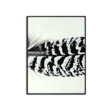 Black Striped Feather Over Black Glass Framed Wall Art