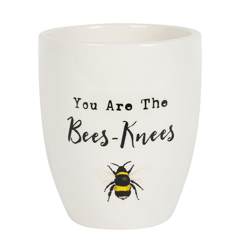 YOU ARE THE BEES KNEES CERAMIC PLANT POT.